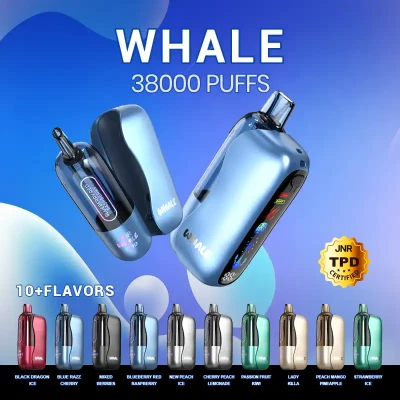 JNR Whale 38K Puffs | Kit Pod Pré-rempli & Rechargeable